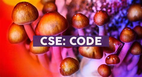 otcqb bkllf|Codebase forms Titan Shrooms & Psychedelics to invest in .